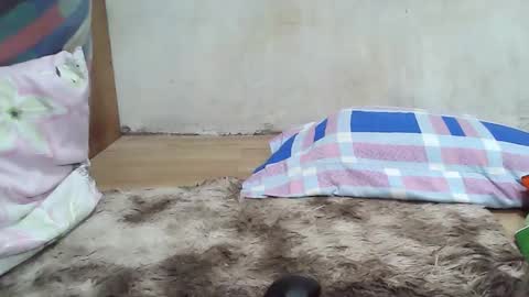 maegold69 online show from 01/08/26, 04:53