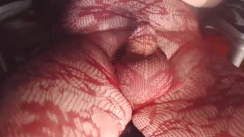 maestro2017 online show from 02/26/25, 09:48