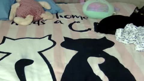 maferchavez88 online show from 01/17/26, 03:11