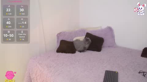    t  online show from 03/27/26, 02:17