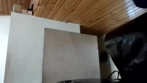 Snapshot of maite_stone1 chatting on 10/31/25, 11:55 MAITE STONE1 online show from 10/31/25, 11:55