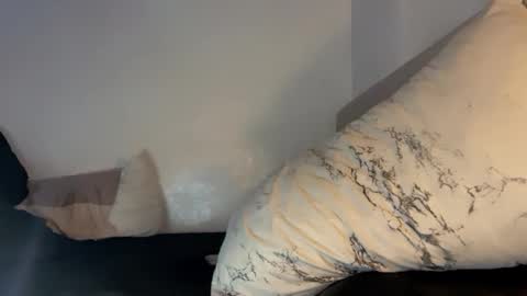 Snapshot of majestic_princesslei chatting on 10/13/25, 12:54 Lei online show from 10/13/25, 12:54