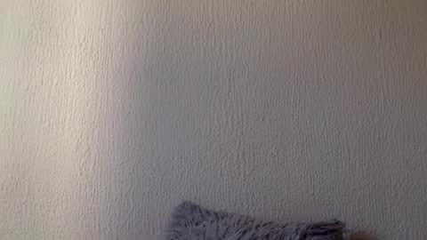 majo_gomezz online show from 03/20/26, 07:41