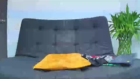 Snapshot of malcompierce chatting on 02/06/26, 02:16 Malcom online show from 02/06/26, 02:16