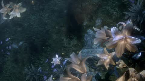 piu online show from 04/02/26, 02:26