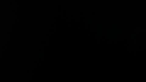 Alice Asylum online show from 04/19/26, 09:28