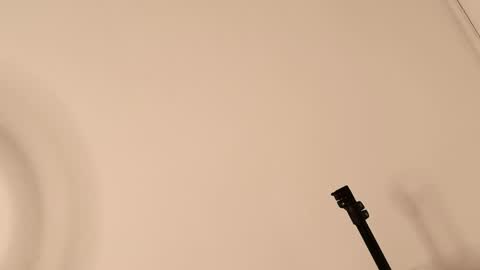 Lory  online show from 04/12/26, 06:57