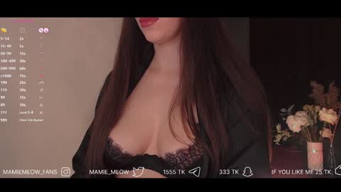 Snapshot of mamiemeow chatting on 01/30/25, 03:51 Your Miss Alice online show from 01/30/25, 03:51