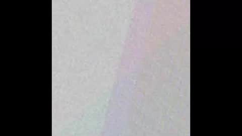 manatee bear online show from 09/17/25, 03:08