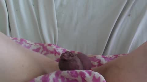 ..          .. online show from 02/22/25, 05:35