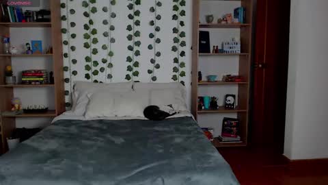 Danny online show from 03/06/25, 05:24