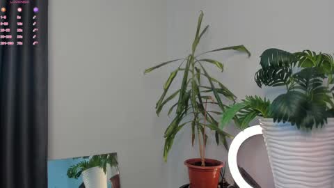 Snapshot of manita_misti chatting on 05/05/26, 10:01 Manita online show from 05/05/26, 10:01