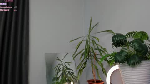 Snapshot of manita_misti chatting on 05/08/26, 09:25 Manita online show from 05/08/26, 09:25