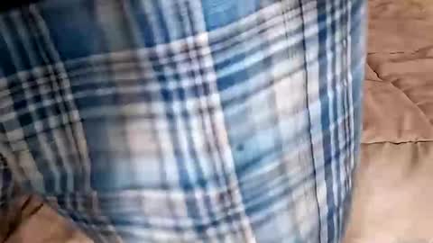 Snapshot of manlymanson chatting on 09/14/25, 09:47 Dickinabox online show from 09/14/25, 09:47