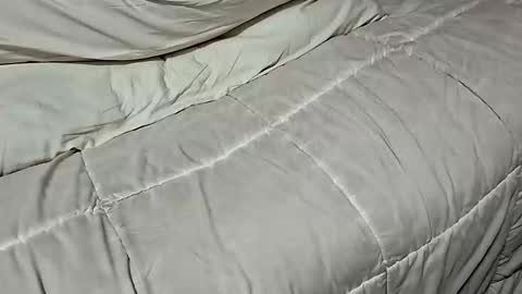 Snapshot of manlymanson chatting on 11/17/25, 08:42 Dickinabox online show from 11/17/25, 08:42