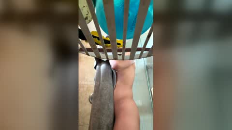 manny764065 online show from 02/07/26, 01:26