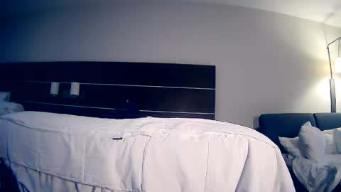 Snapshot of manuel_dexterity chatting on 05/15/26, 01:40 Daddy online show from 05/15/26, 01:40