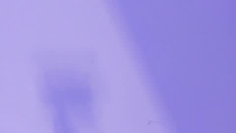 MARCELO online show from 01/26/25, 06:28