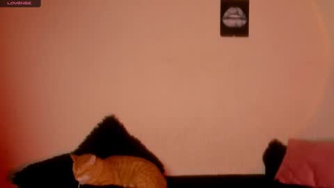 mariana williams online show from 02/22/25, 01:00