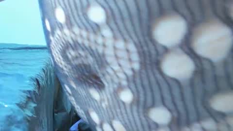 marilynwett online show from 03/21/26, 01:54