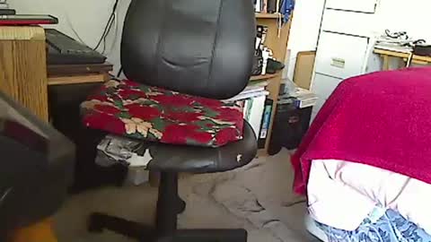 MarioDavidAndybros online show from 01/01/25, 07:43