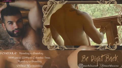 Mark online show from 01/28/25, 03:04