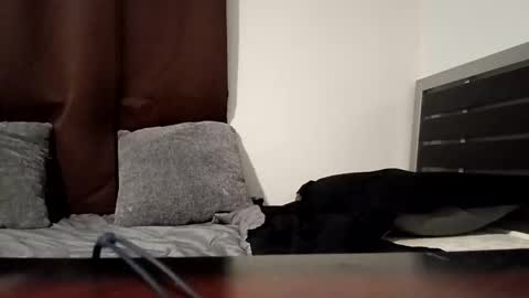 Snapshot of markbwcusmc chatting on 01/15/26, 02:10 markbwcusmc online show from 01/15/26, 02:10