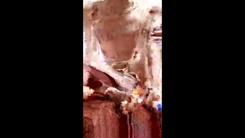 marki_2816 online show from 02/23/26, 10:34