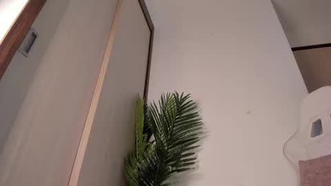 markus... Y online show from 12/13/24, 12:42