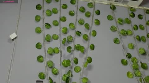 marly online show from 02/28/25, 02:42