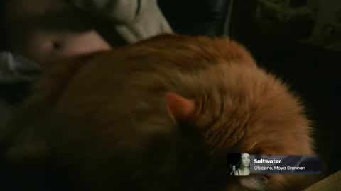 marnieccc online show from 02/21/26, 04:35