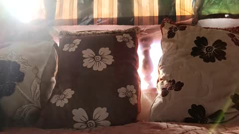 Snapshot of marocreda33 chatting on 12/24/24, 11:17 marocreda33 online show from 12/24/24, 11:17