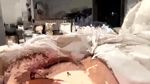 marriedthickdick37 online show from 02/12/25, 05:37