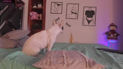 Snapshot of marstone_ chatting on 01/03/25, 04:11 Mar online show from 01/03/25, 04:11
