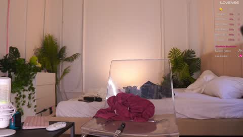 Caroline  qeeentease - ints qeentease - twitter online show from 02/07/26, 09:57