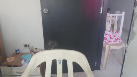 maryam_arabicmilk online show from 01/08/25, 03:07