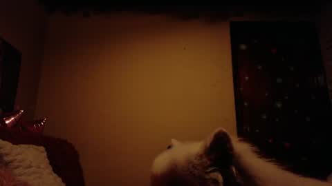 Snapshot of maryberry__ chatting on 06/28/26, 07:47 online show from 06/28/26, 07:47