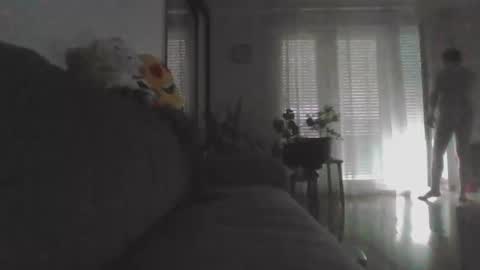 Nikola online show from 05/24/26, 01:49