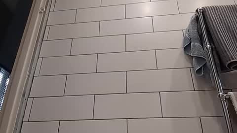 Snapshot of masterclass69er chatting on 10/14/25, 08:15 Bob online show from 10/14/25, 08:15