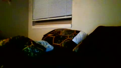 Snapshot of mastersquirter98 chatting on 01/12/25, 04:10 alex online show from 01/12/25, 04:10