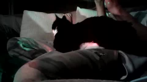 mastrdebator online show from 11/05/25, 09:59