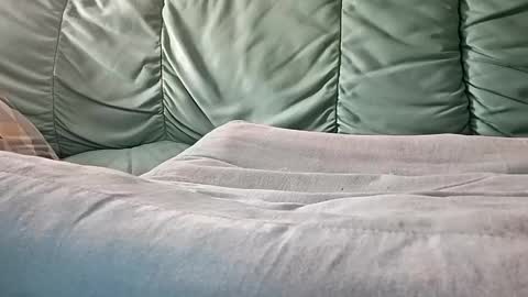 mathisdavid6757 online show from 11/09/25, 08:56