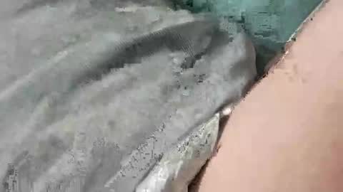 mathisdavid6757 online show from 11/22/25, 01:32