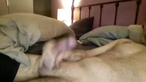 Snapshot of matrixdog69 chatting on 11/04/25, 04:06 matrixdog69 online show from 11/04/25, 04:06