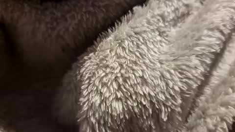 mattca80 online show from 10/04/25, 02:53