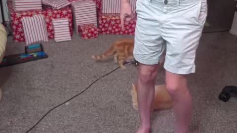 Matt Cash online show from 12/26/24, 02:12