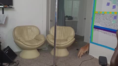 Matt Cash online show from 01/10/25, 02:14