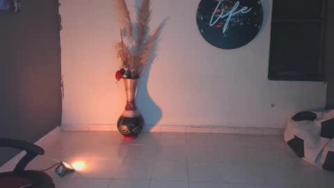 Snapshot of mattias_dantee chatting on 01/24/25, 02:07 mattias online show from 01/24/25, 02:07