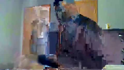 mauricescott online show from 04/11/26, 08:13