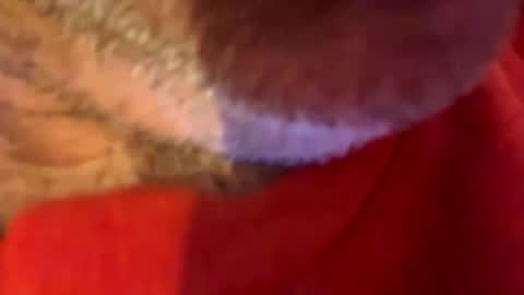 Snapshot of maverick7000 chatting on 10/31/25, 08:59 maverick7000 online show from 10/31/25, 08:59